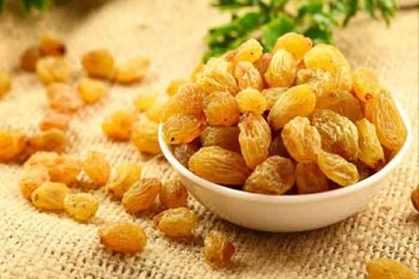 تصویر 3 از معرفی کشمش زرد تیزابی + بهترین قیمت خرید